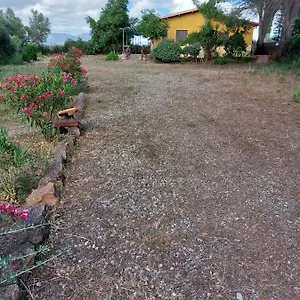 Agriturismo I 13 Pini Di Putzu Anna Maria Giba